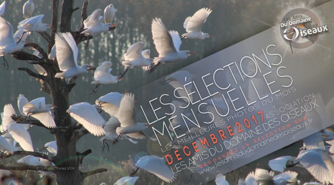 Les sélections de Décembre 2017