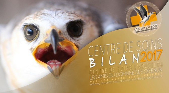 Centre de soins – Bilan 2017