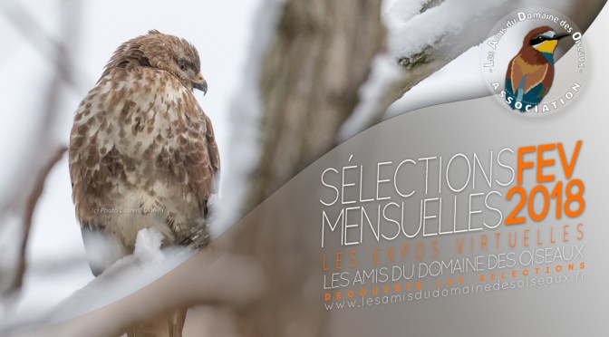 Les sélections de Février 2018