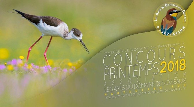 Concours photo printemps 2018