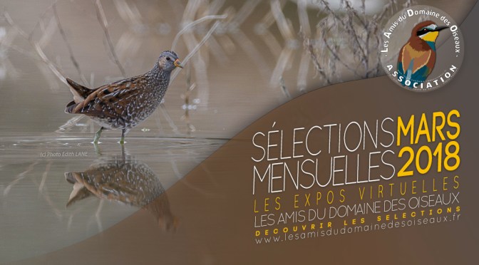 Les sélections photos de Mars 2018