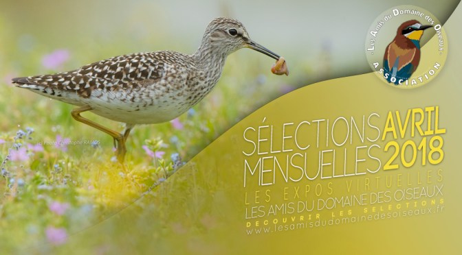 LES SÉLECTIONS PHOTOS D&rsquo;AVRIL 2018
