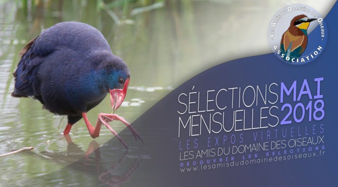 LES SÉLECTIONS PHOTOS DE MAI 2018