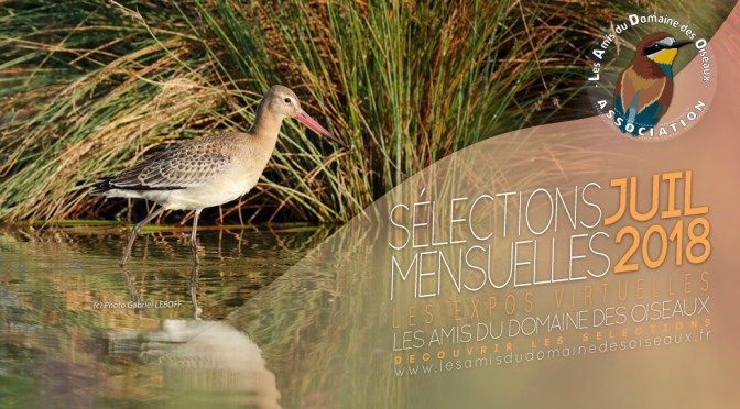 Les sélections photos de JUILLET 2018