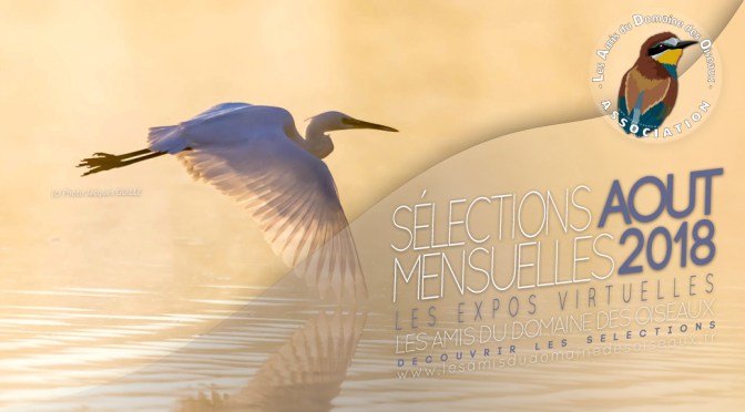 LES SELECTION PHOTOS AOUT 2018