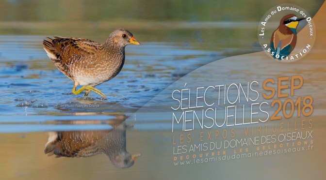 Les sélections photos SEPTEMBRE 2018