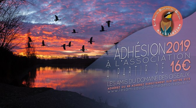 ADHÉSION À L&rsquo;ASSOCIATION POUR L&rsquo;ANNÉE 2019