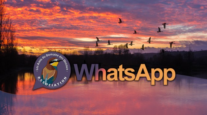 WhatApp – Groupes de partage d&rsquo;observations.