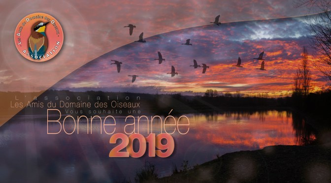 BONNE ANNEE 2019 !