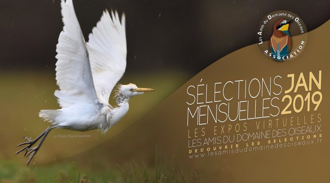 Les sélections photos JANVIER 2019