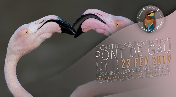 Sortie associative – Pont de Gau 23 Fev 2019