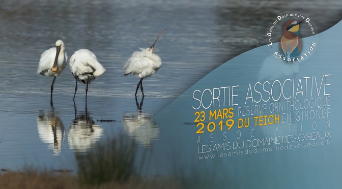 Sortie associative – Le Teich 23 mars 2019