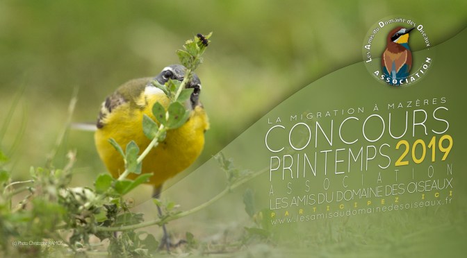 Concours Printemps 2019 : La migration à Mazères