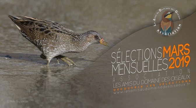 Les sélections photos MARS 2019
