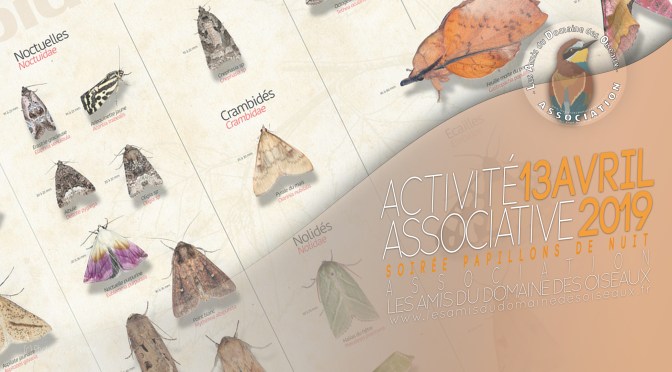 Activité associative Soirée Papillons de nuit 13 avril 2019