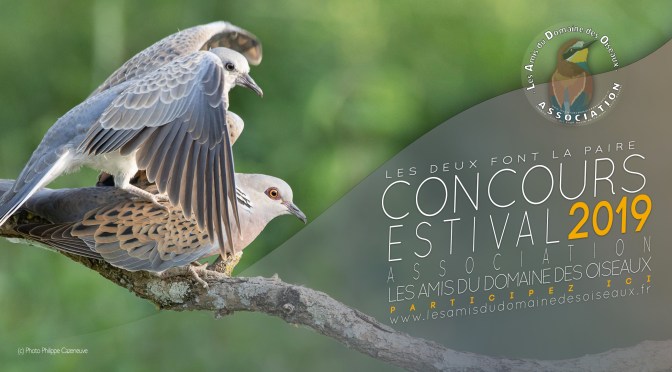 Concours photo Eté 2019