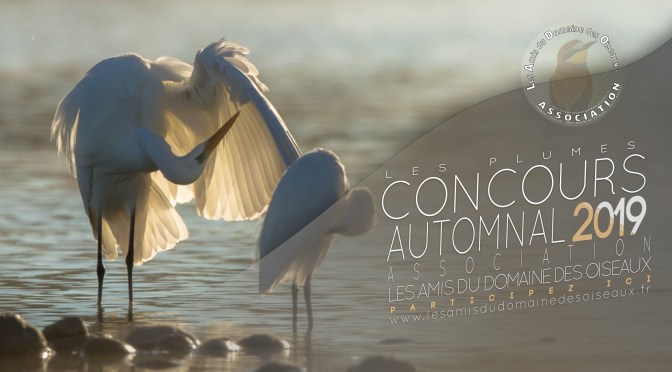 Concours Automne 2019