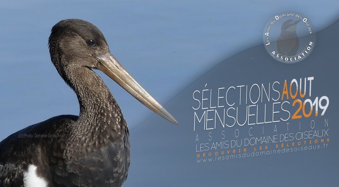 Sélections PHOTO AOUT 2019