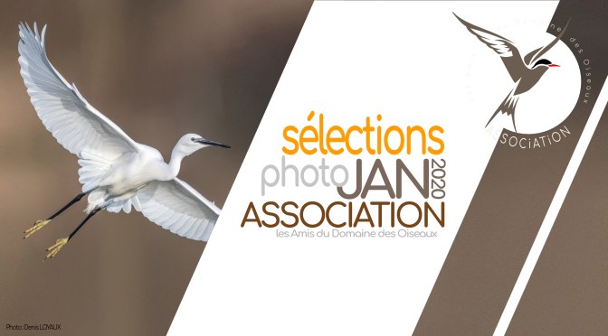 SÉLECTIONS PHOTO JANVIER 2020