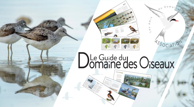 Projet – Le guide du Domaine des Oiseaux