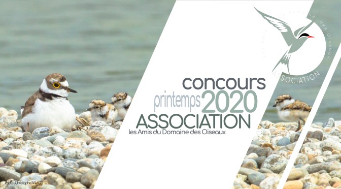 Concours printemps 2020