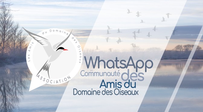 WHATsAPP communauté des amis du domaine des oiseaux
