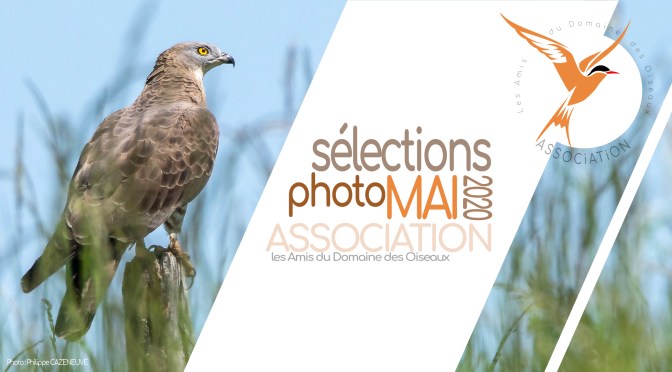 Les sélections MAI 2020