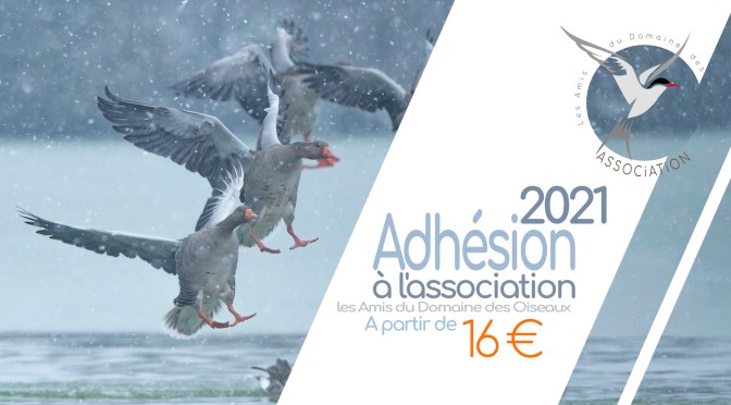 ADHÉSION À L’ASSOCIATION POUR L’ANNÉE 2021