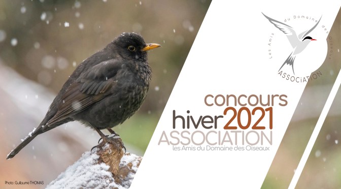 CONCOURS HIVER 2021 : Un hiver froid !