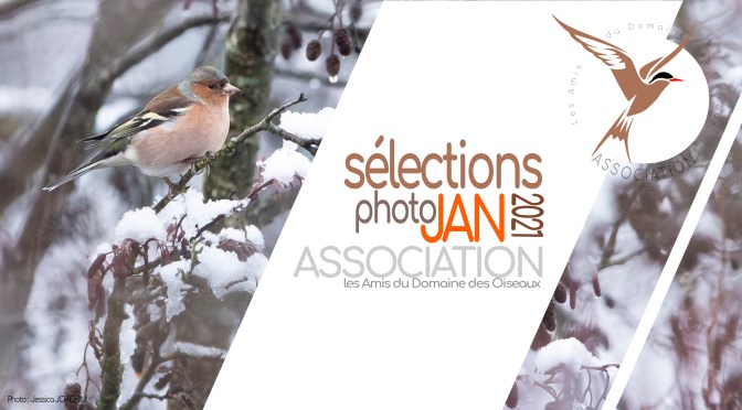 Les sélections de JANVIER 2021