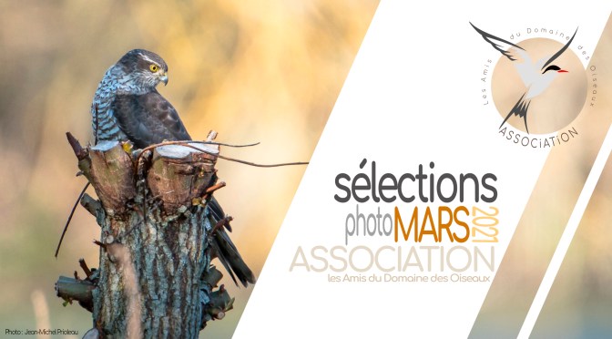 Les sélections de MARS 2021