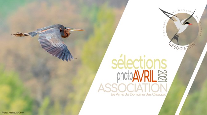 Les sélections d&rsquo;AVRIL 2021