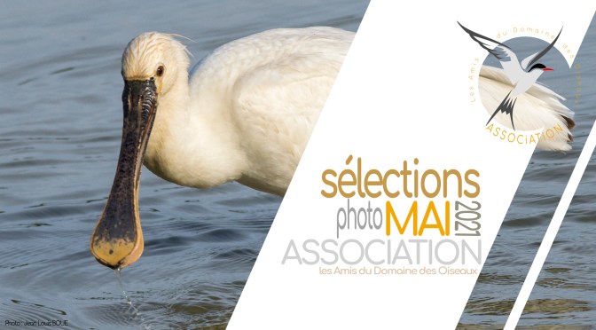 Les sélections de MAI 2021