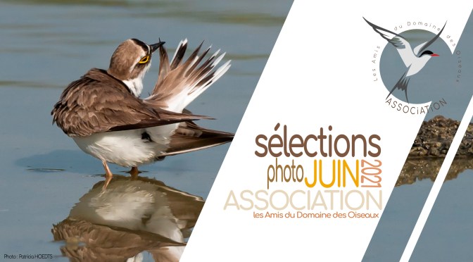 LES SÉLECTIONS DE juin 2021