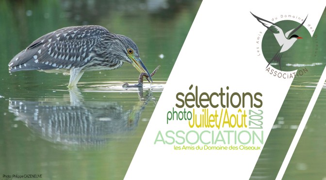 Les sélections de JUILLET&AOUT 2021