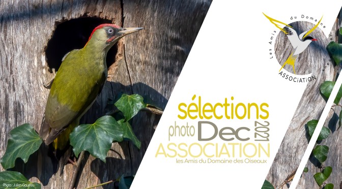 Les sélections de DECEMBRE 2021