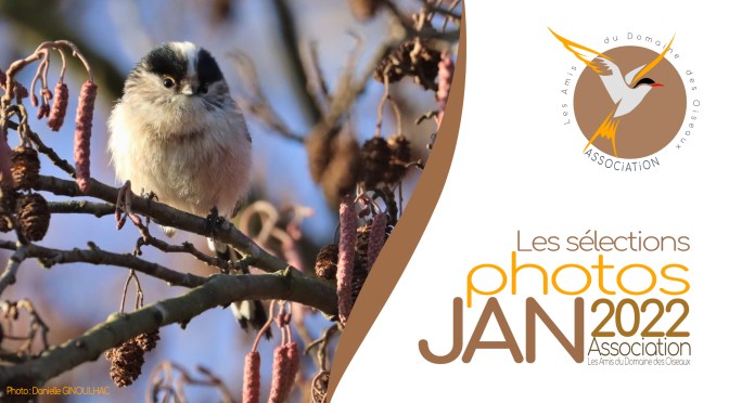 Les sélections de JANVIER 2022