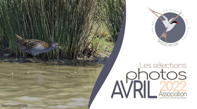 LES SÉLECTIONS PHOTOS D&rsquo;AVRIL 2022
