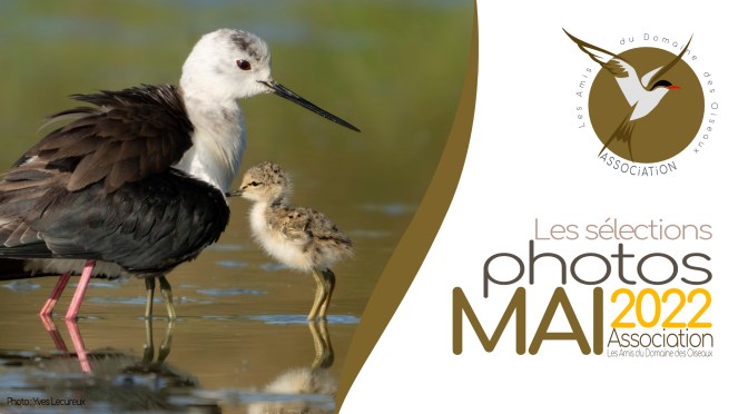 LES SÉLECTIONS PHOTOS DE MAI 2022