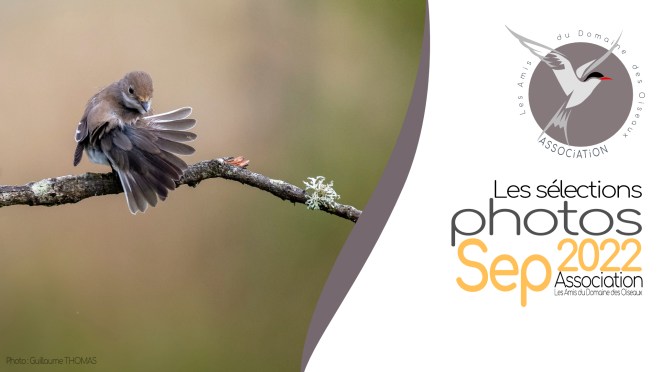 Les sélections photos SEPTEMBRE 2022