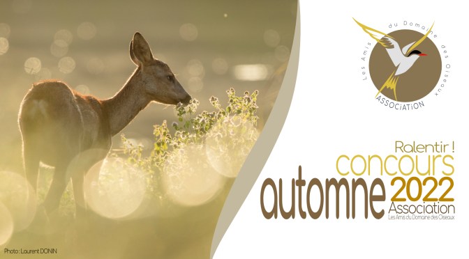 CONCOURS AUTOMNE 2022