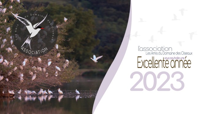 Tous nos vœux pour 2023 !