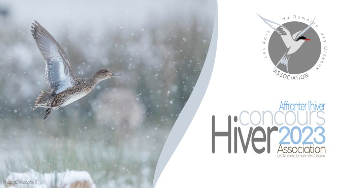 Concours Hiver 2023 – Affronter l&rsquo;hiver