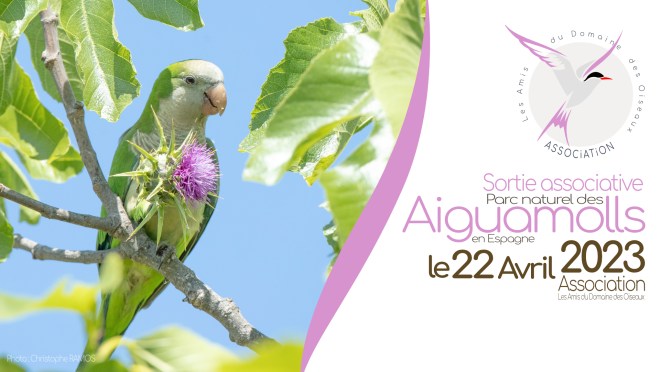 Sortie associative Les Aiguamolls, le 22 avril 2023
