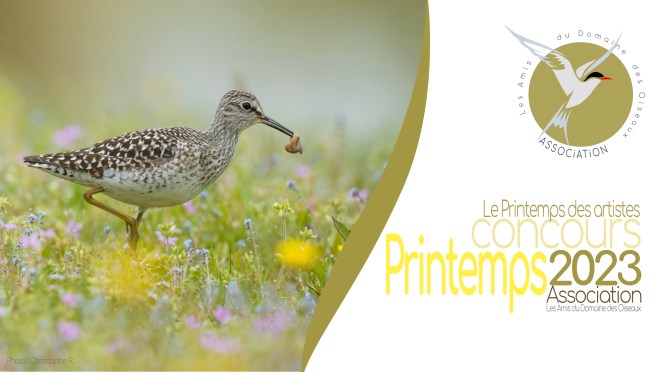 Concours printemps 2023 – Le Printemps des artistes
