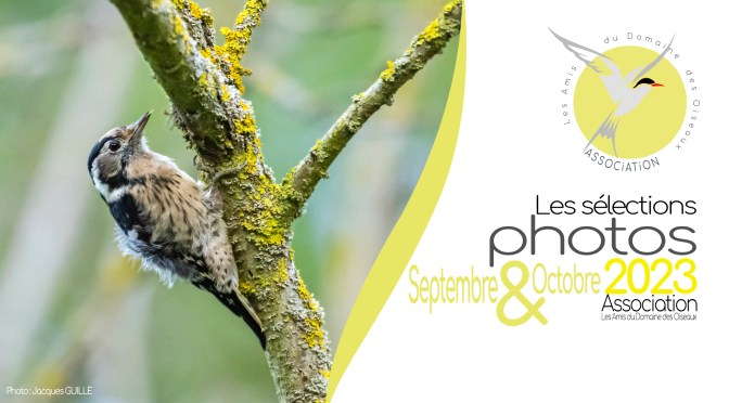 LES SÉLECTIONS PHOTO DE SEPTEMBRE & OCTOBRE 2023