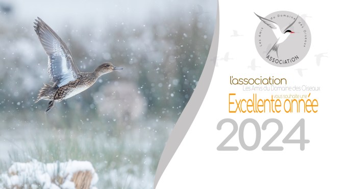 TOUS NOS VŒUX POUR 2024 !