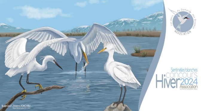 Concours hiver 2024 – Les sentinelles blanches