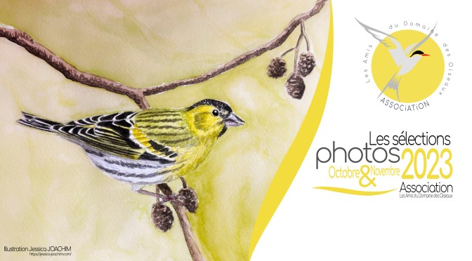 LES SÉLECTIONS PHOTO DE NOVEMBRE & DECEMBRE 2023