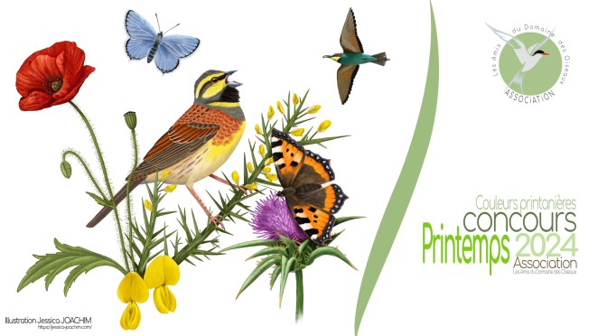 Concours printemps 2024 / Les couleurs printanières